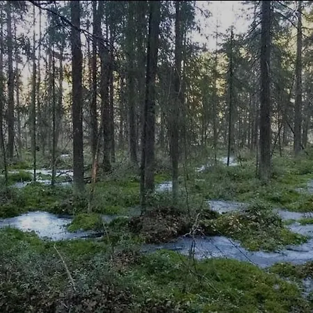 Tranquil In * Vantaa