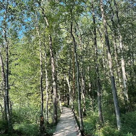 Tranquil In Apartman