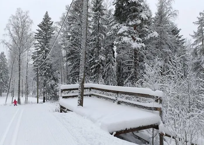 Tranquil In Appartamento Vantaa