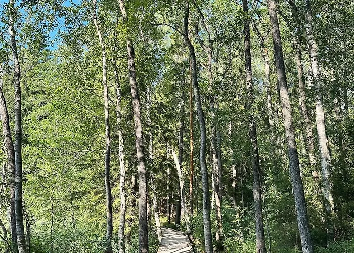 Tranquil In Appartamento